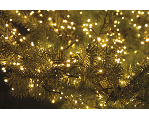 Șir de lumini pe un brad de Crăciun