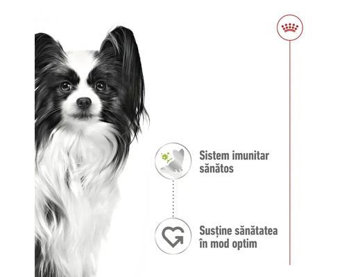 Ilustrație pentru susținerea sistemului imunitar și a sănătății inimii câinilor