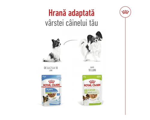 Hrană umedă pentru câini Royal Canin pentru căței și câini adulți