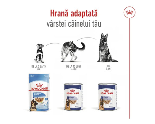 Royal Canin hrană umedă pentru câini, adecvată pentru diferite vârste