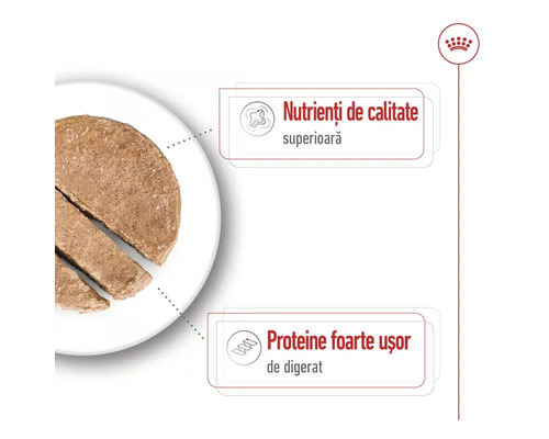 Mâncare pentru pisici pe o farfurie cu informații despre valorile nutriționale