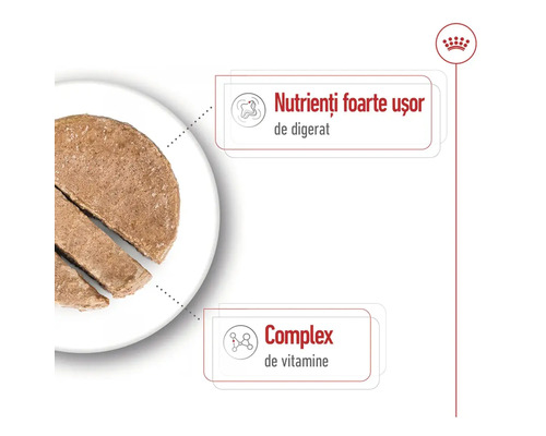 Mâncare pentru câini într-o farfurie cu mențiuni despre digestibilitate ușoară și complex de vitamine