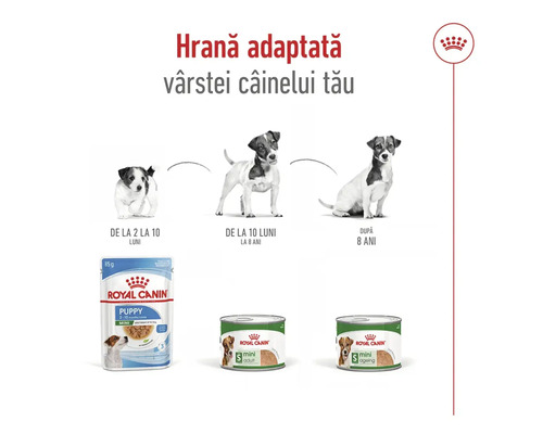 Hrană pentru câini Royal Canin pentru diferite vârste