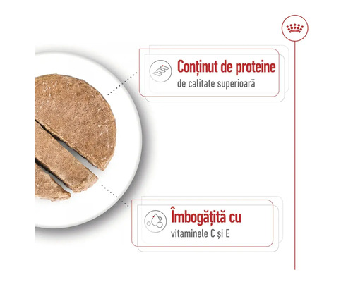 Mâncare pentru câini cu conținut ridicat de proteine și vitamine