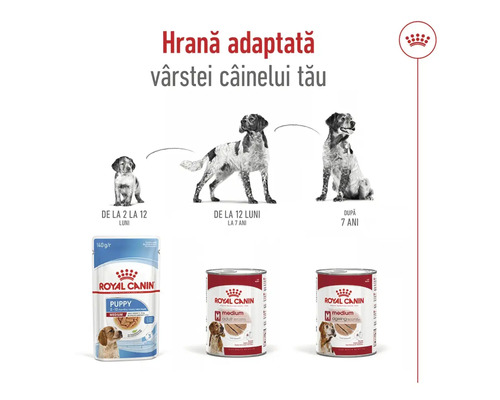 Hrană pentru câini Royal Canin pentru căței, câini adulți și câini bătrâni
