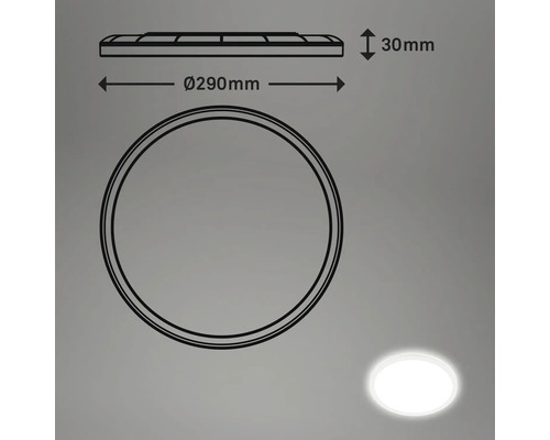 Desen tehnic al unei lămpi de tavan rotunde cu un diametru de 290 mm și o înălțime de 30 mm.