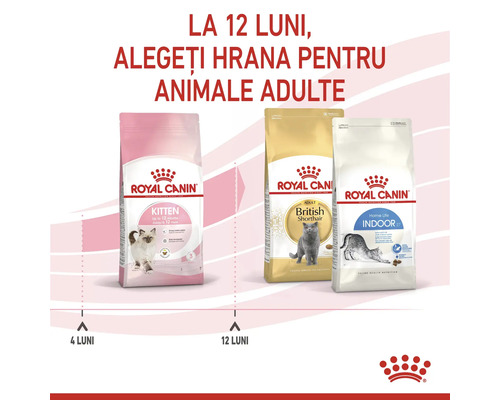 Hrană pentru pisici Royal Canin pentru pisoi și pisici adulte