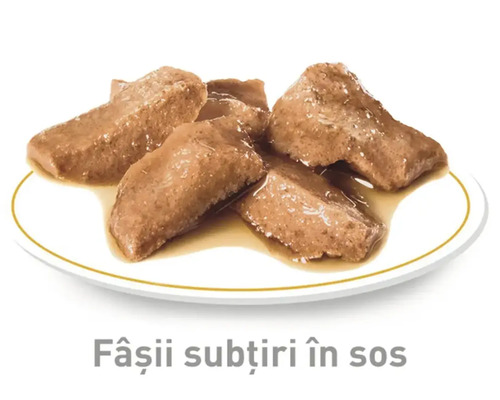 Bucăți de hrană umedă în sos pe o farfurie