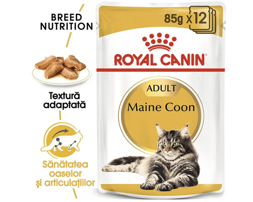 Royal Canin Adult Maine Coon hrană pentru pisici, pachet de 12