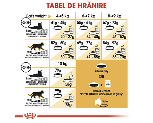Tabel de hrănire pentru pisici, cu greutatea între 4 și 10 kilograme, în funcție de nivelul de activitate