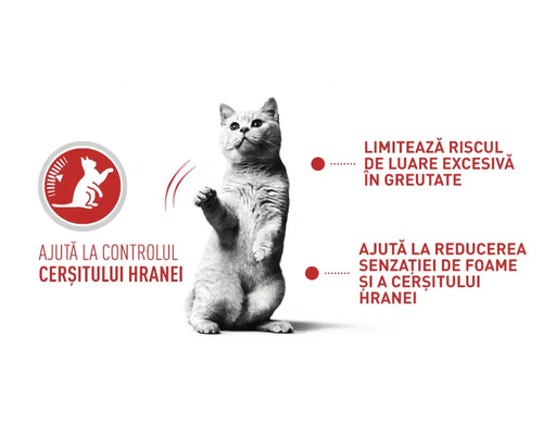 Simbol pentru controlul greutății hranei pentru pisici cu text