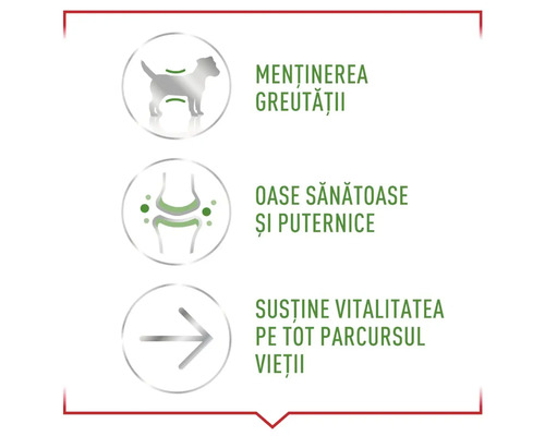 Simbol pentru menținerea greutății, oase sănătoase și puternice, susținerea vitalității