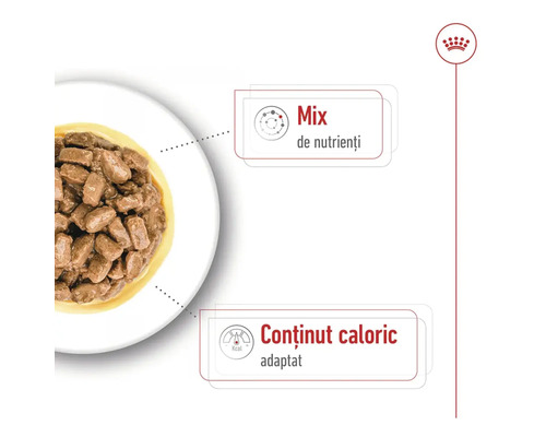 Hrană pentru pisici cu amestec de nutrienți și conținut caloric adaptat