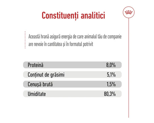 Constituenți analitici ai produsului