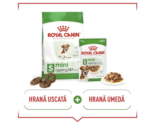 Hrană pentru câini Royal Canin Mini Ageing 12+ pentru câini mici, vârstnici