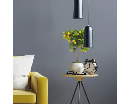 Interior decorativ cu lămâi, lampă de masă, masă și canapea.