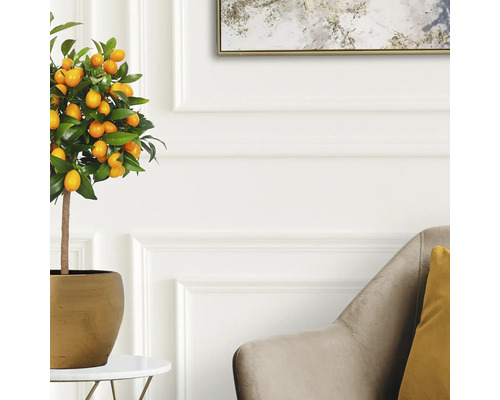 Arbore Kumquat artificial în ghiveci ca decor