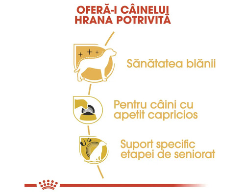 Beneficiile produsului pentru hrana câinilor