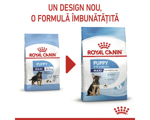 Comparație hrană uscată Royal Canin Maxi Puppy: design nou, formulă îmbunătățită
