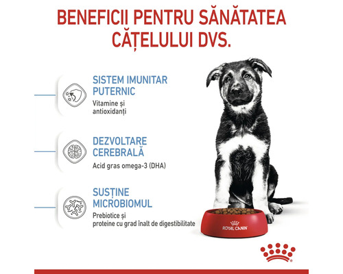 Hrană pentru căței cu mențiuni despre beneficiile pentru sănătate: sistem imunitar puternic, dezvoltarea creierului și susținerea microbiomului