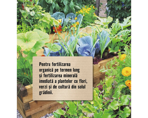 Grădină de legume cu diverse plante și o notă despre fertilizare