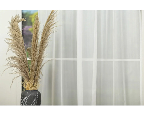 Iarbă de pampas decorativă într-o vază în fața unei ferestre cu perdea.