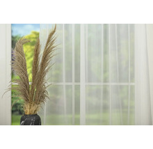 Flori decorative uscate într-o vază în fața unei ferestre cu perdea