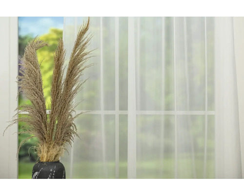 Flori decorative uscate într-o vază în fața unei ferestre cu perdea