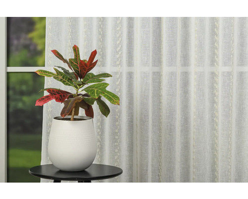 Decorarea decorativă a ferestrei cu o perdea transparentă și o plantă de interior într-un ghiveci pe o măsuță laterală.