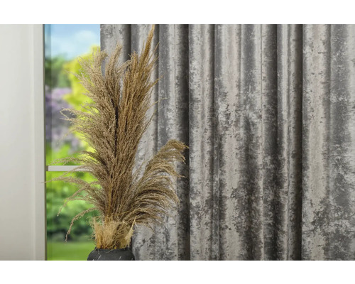 Iarbă de pampas decorativă în vază lângă perdea