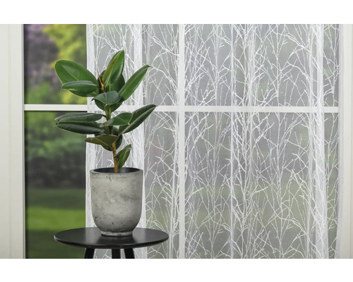 Cameră cu material decorativ alb în fața ferestrei și plantă în ghiveci pe o masă