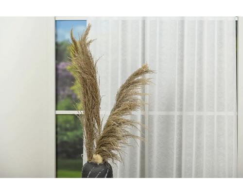 Ierburi decorative uscate într-o vază în fața unei ferestre cu perdea