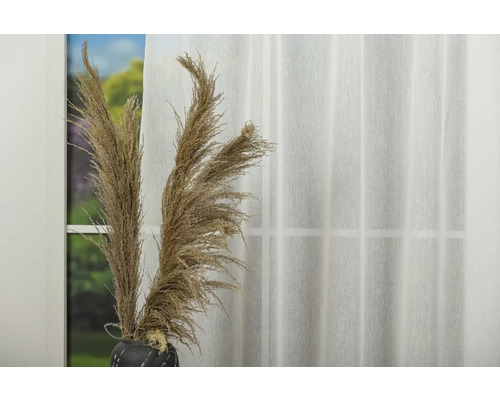 Ierburi decorative într-o vază în fața unei ferestre cu perdea