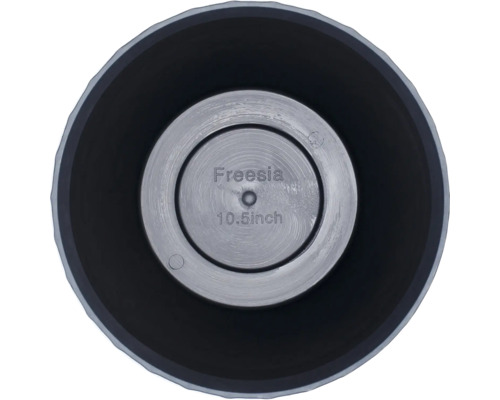 Ghiveci Freesia, diametru de 26,7 centimetri