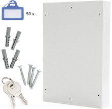 Casetă chei S50 el închidere electronică 550x380x80mm