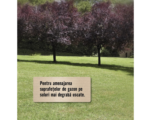 Suprafață de gazon cu copaci în grădină