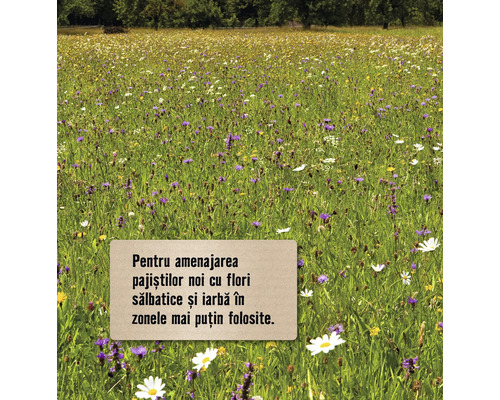 Câmp cu flori cu semn pentru amenajarea de noi pășuni cu flori sălbatice și iarbă în zonele mai puțin folosite