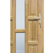 Ușă lemn exterior 1/2 stejar lăcuit 100x210 cm stânga