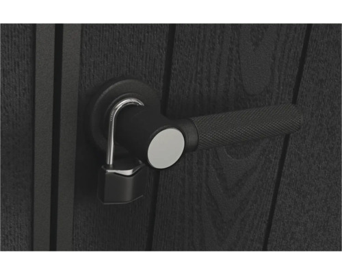 Ușă cu mâner și lacăt