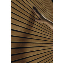 Casuță de grădină Keter Signature 11x7 plastic 342x218 cm maro