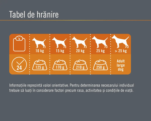 Tabel de hrănire pentru câini cu greutate și cantitate de hrană