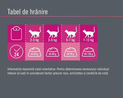 Tabel de hrănire pentru pisici în funcție de greutate și porția zilnică