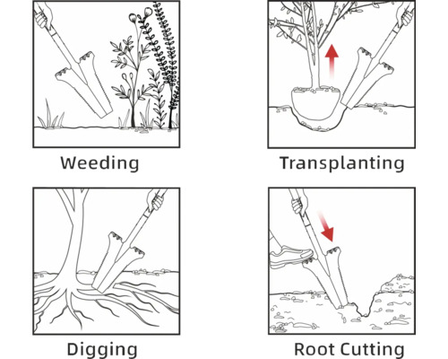 Ilustrații care arată utilizarea unui plivitor de buruieni pentru plivit, transplantare, săpat și tăiat rădăcini.