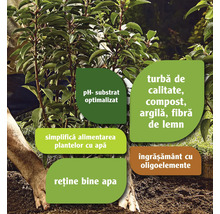 Planta este plantată într-un substrat cu pH optimizat care simplifică irigarea, reține apa și conține turbă de calitate, compost, argilă, fibre de lemn și îngrășământ cu oligoelemente.