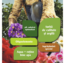 Informații despre substratul cu pH optimizat, oligoelemente, turbă de înaltă calitate, argilă, reținere a apei și îngrășăminte speciale.