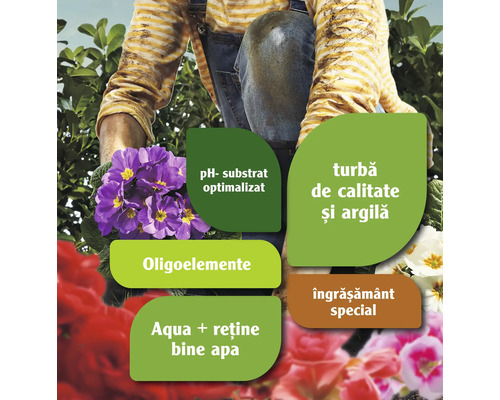 Informații despre substratul cu pH optimizat, oligoelemente, turbă de înaltă calitate, argilă, reținere a apei și îngrășăminte speciale.