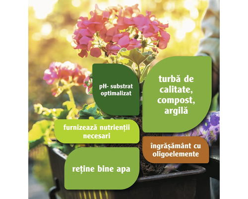 Turba de calitate, compost, argilă