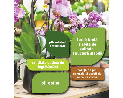 Informații despre substratul pentru orhidee cu pH optimizat, cantitate optimă de îngrășământ, turbă brută slăbită de calitate, structură stabilă, coajă de pin naturală și așchii de nucă de cocos