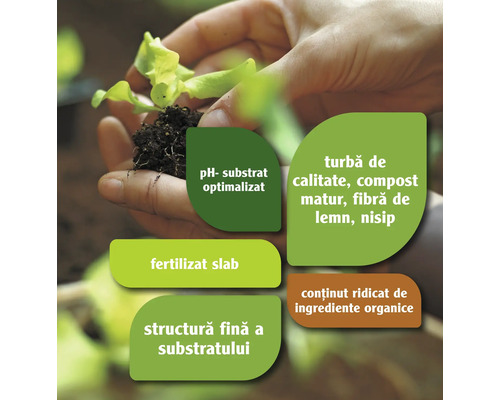 "O mână ține o plantă cu un săculeț de pământ