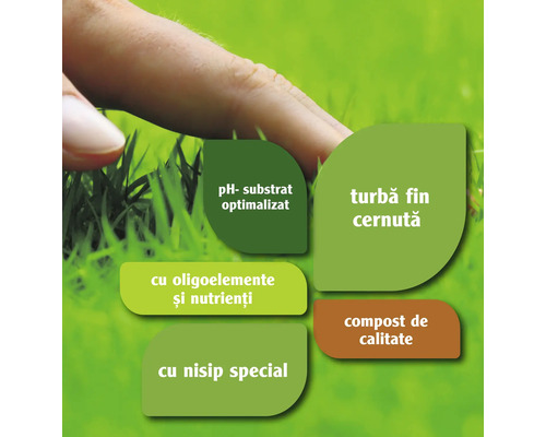 Substrat cu pH optimizat, oligoelemente și nutrienți, turbă fină cernută, nisip special și compost de calitate.